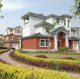 轉(zhuǎn)型發(fā)展事跡材料